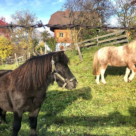 Hotel Feielhof Krakaudorf Zewnętrze zdjęcie