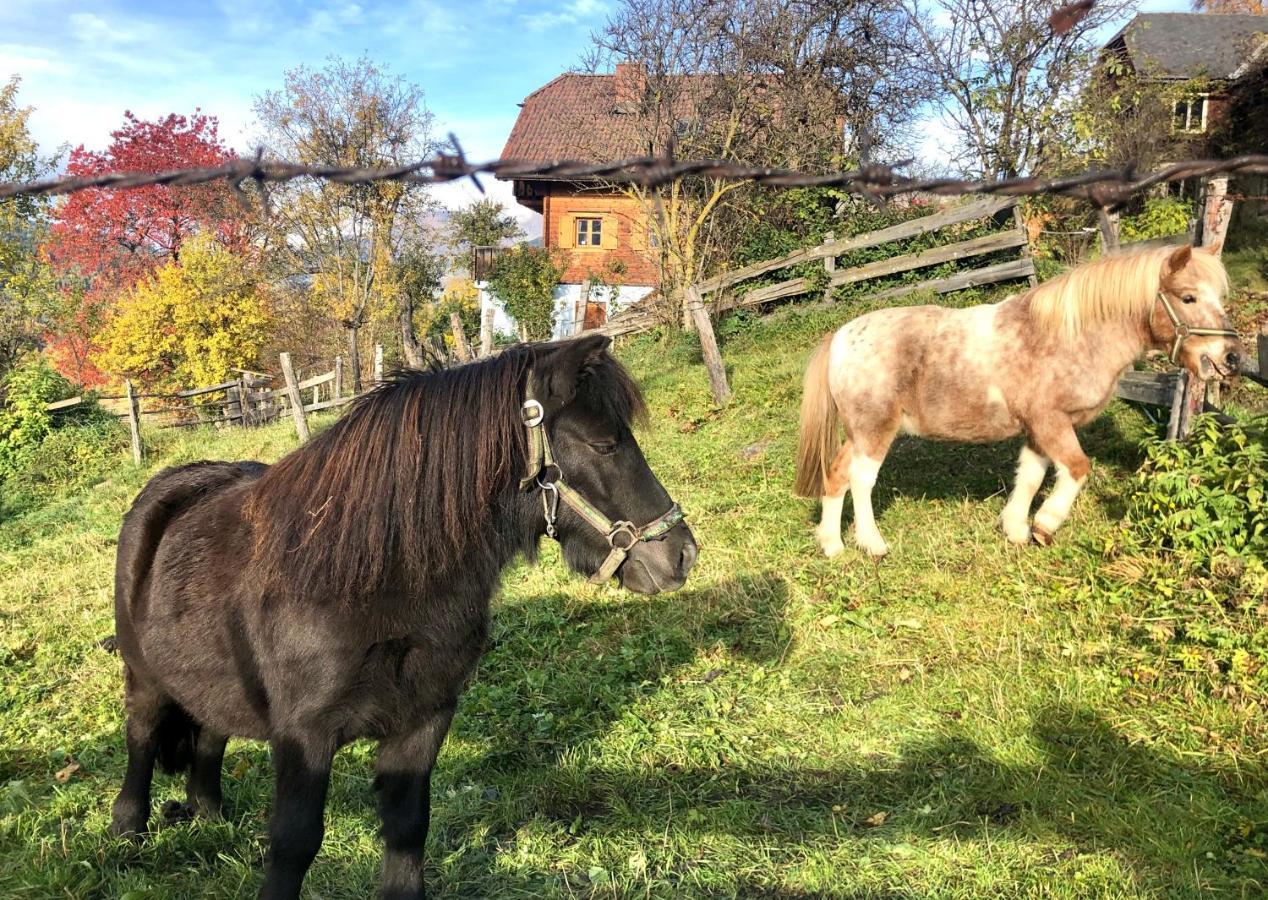 Hotel Feielhof Krakaudorf Zewnętrze zdjęcie