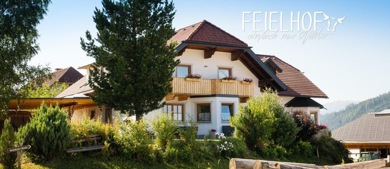 Hotel Feielhof Krakaudorf Zewnętrze zdjęcie